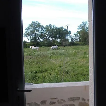 펜션 Mas Les Saules *