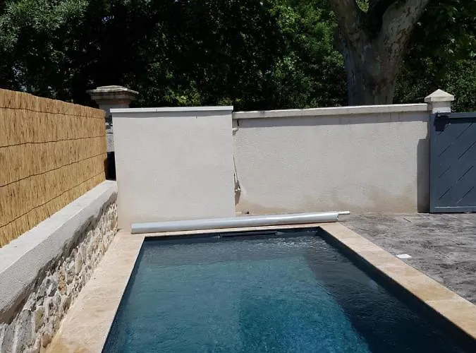 Mas Les Saules Holiday home