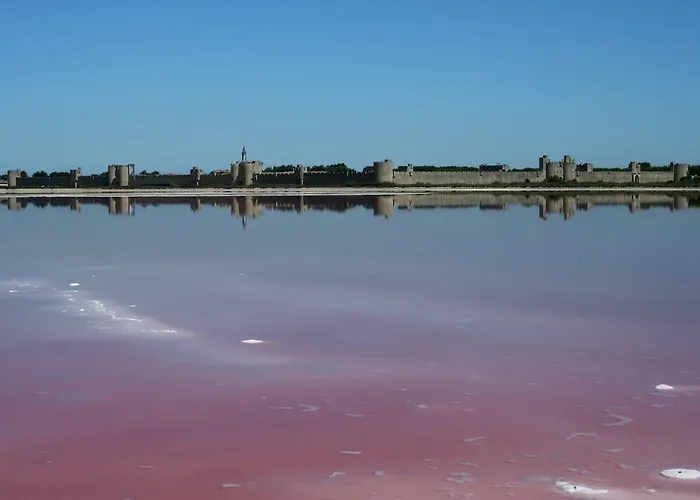 Holiday home Mas Les Saules *