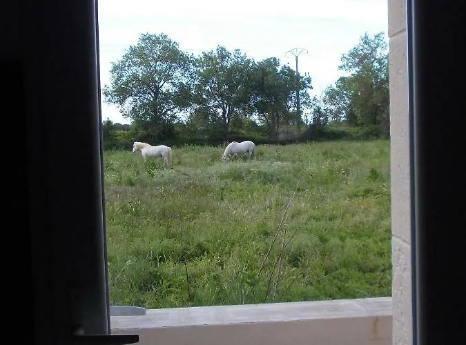 Holiday home Mas Les Saules *